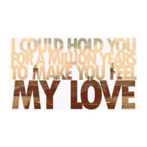 "To Make You Feel My Love" - Logo